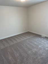 Empty room featuring carpet and a textured ceiling