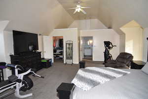 Bedroom with ceiling fan, a spacious closet, lofted ceiling, a closet, and carpet