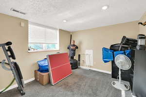 Workout room featuring carpet flooring and a textured ceiling