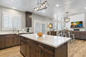 Kitchen with a fireplace, light hardwood / wood-style floors, and a healthy amount of sunlight