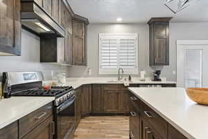 Kitchen featuring light wood-type flooring, a textured ceiling, stainless steel appliances, sink, and range hood