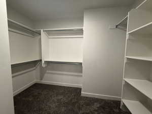 Walk in closet featuring dark colored carpet