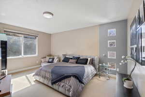 Bedroom featuring baseboards and carpet flooring