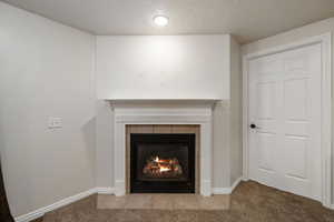 Room details featuring carpet, a textured ceiling, and a fireplace