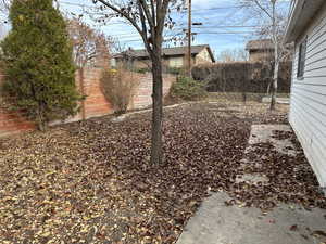 North area of backyard next to garage and looking east