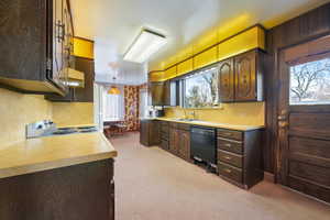 Kitchen with dishwasher, dark brown cabinets, plenty of natural light, and decorative light fixtures