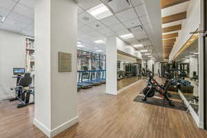 Gym with a paneled ceiling, a wealth of natural light, and wood-type flooring