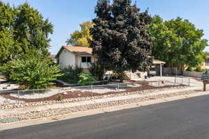 View of property hidden behind natural elements featuring a carport