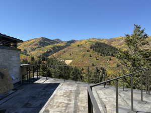 View of mountain backdrop with a forest