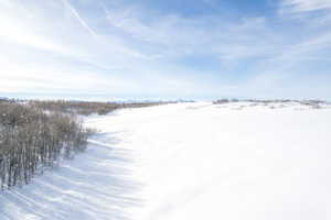 View of property's community