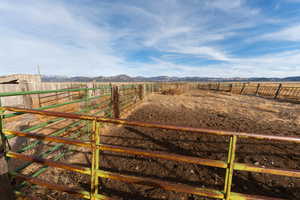 View of yard featuring a mountain view and a rural view