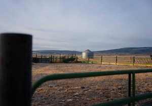 View of yard with a mountain view and a rural view