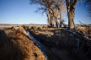 View of nature