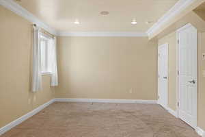 Carpeted empty room featuring crown molding