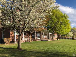 View of front facade with a front yard