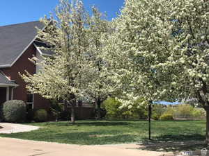 View of side of property featuring a lawn