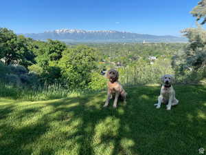 Property view of mountains