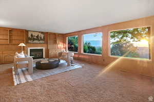 Carpeted living room with built in shelves and wood walls