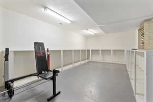 view of large storage room located off the basement bonus room