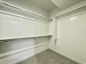 Spacious closet with carpet flooring