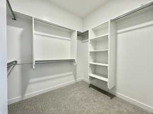 Spacious closet with carpet