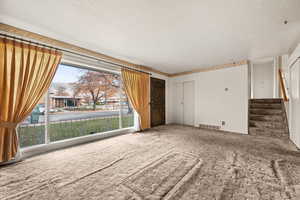 Floor to ceiling window, hardwood floors under carpet