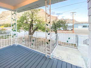 Mountain view from the new Flex deck, framed by a mature apricot and pear tree