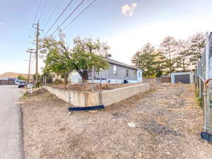 Spacious driveway and side yard, complemented by a mature apricot and pear tree