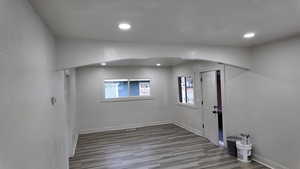 Basement featuring wood-type flooring