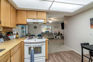 Kitchen featuring electric range, ceiling fan, and dark wood-type flooring