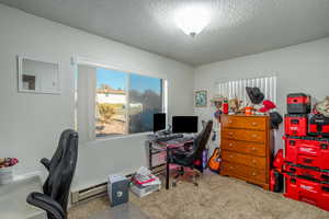 Office space with carpet floors, a baseboard radiator, and a textured ceiling