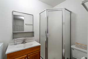 Bathroom featuring vanity, toilet, and a shower with door