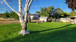 View of yard featuring a storage shed