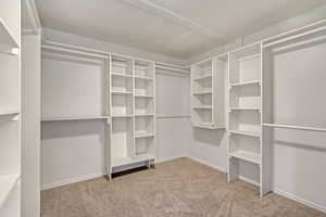 Walk in closet featuring light carpet