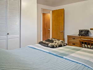 basement Bedroom featuring a closet