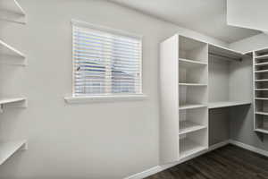 Walk in closet featuring dark wood-type flooring