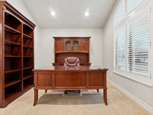 Office with light colored carpet and vaulted ceiling