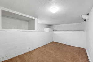 Interior space featuring carpet floors and a textured ceiling