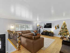 Living room featuring light hardwood / wood-style floors and crown molding