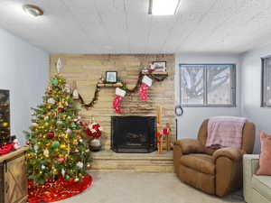 Carpeted living room featuring a fireplace and wood walls