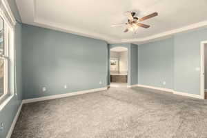 Carpeted empty room with ceiling fan and a tray ceiling