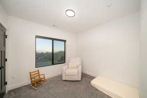 Bedroom with dark colored carpet