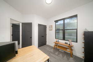 Bedroom with carpet flooring