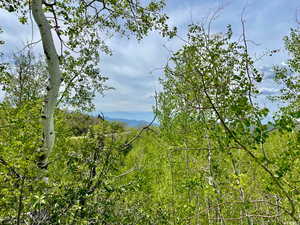 View of landscape featuring a mountain view