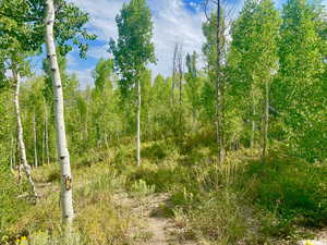 View of landscape