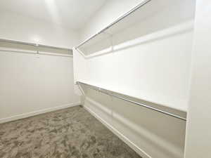 Walk in closet featuring carpet