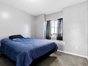 Bedroom with dark colored carpet