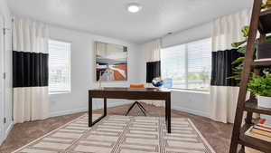 Office space featuring carpet, a textured ceiling, and plenty of natural light