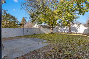 Charming and spacious backyard