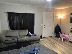 Living room with light wood-type flooring and a textured ceiling